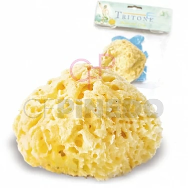 ESPONJA NATURAL TRITONE ARCIPELAGO N� 16