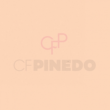 NEE ABSOLUTE PERFECTION FOUNDATION  W1 WARM BEIGE 