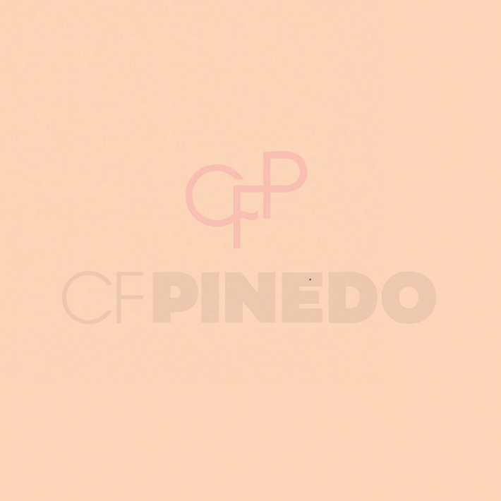 NEE ABSOLUTE PERFECTION FOUNDATION  W1 WARM BEIGE 