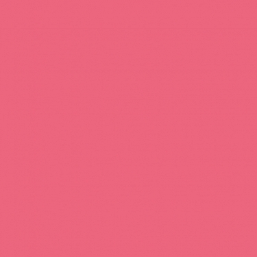 NEE CHUBBY STICK BUBBLEGUM_1