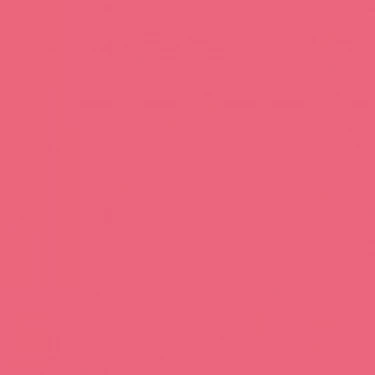 NEE CHUBBY STICK BUBBLEGUM_1