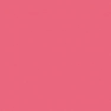 NEE CHUBBY STICK BUBBLEGUM_1