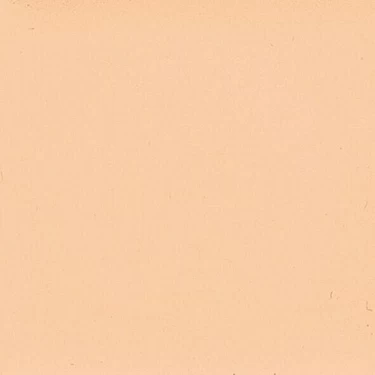 NEE CONTOURING PALETTE_3