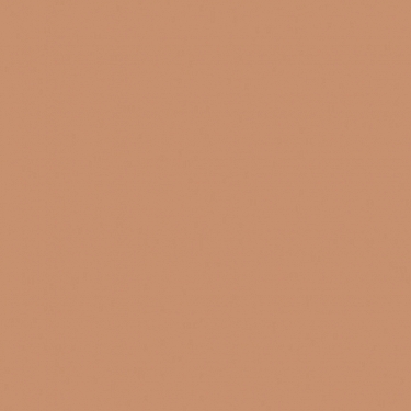 NEE LIQUID BRONZE INTENSIVE HYDRATING 50 ML. B154_2