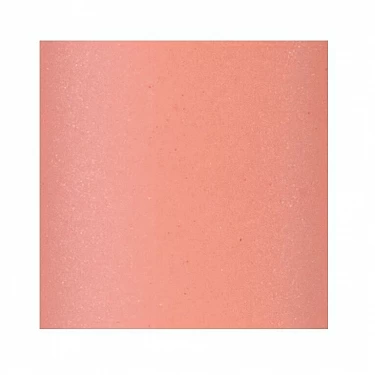 NEE PLUMPING ACTION GLOSS_1