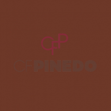 NEE THE BLUSHER CHOCOLATE GLOW_1