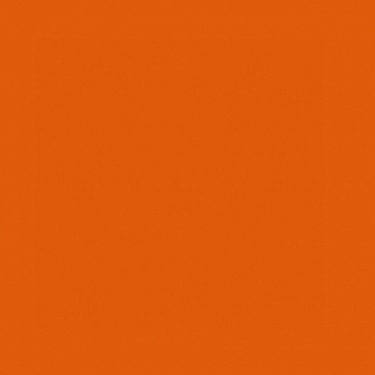 NEE THE BLUSHER GOLDORANGE_1