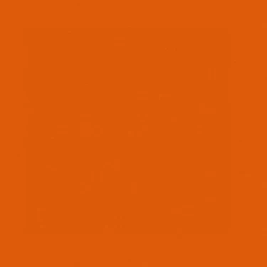 NEE THE BLUSHER GOLDORANGE_1 NEE THE BLUSHER GOLDORANGE_1